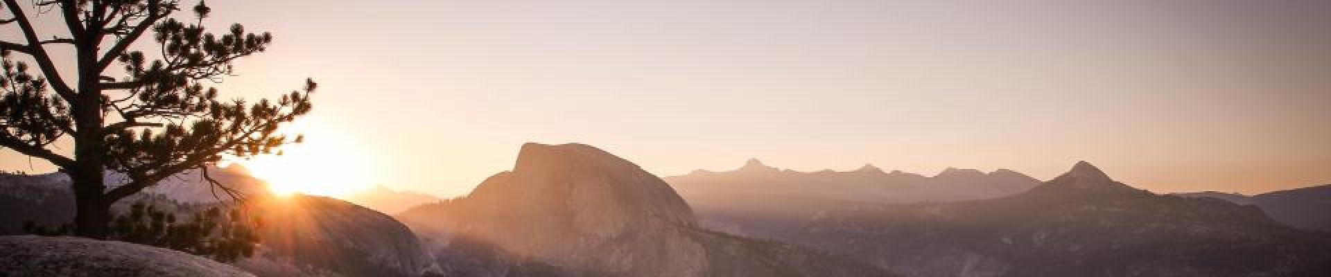 Live Search and Smart AutoComplete for WordPress